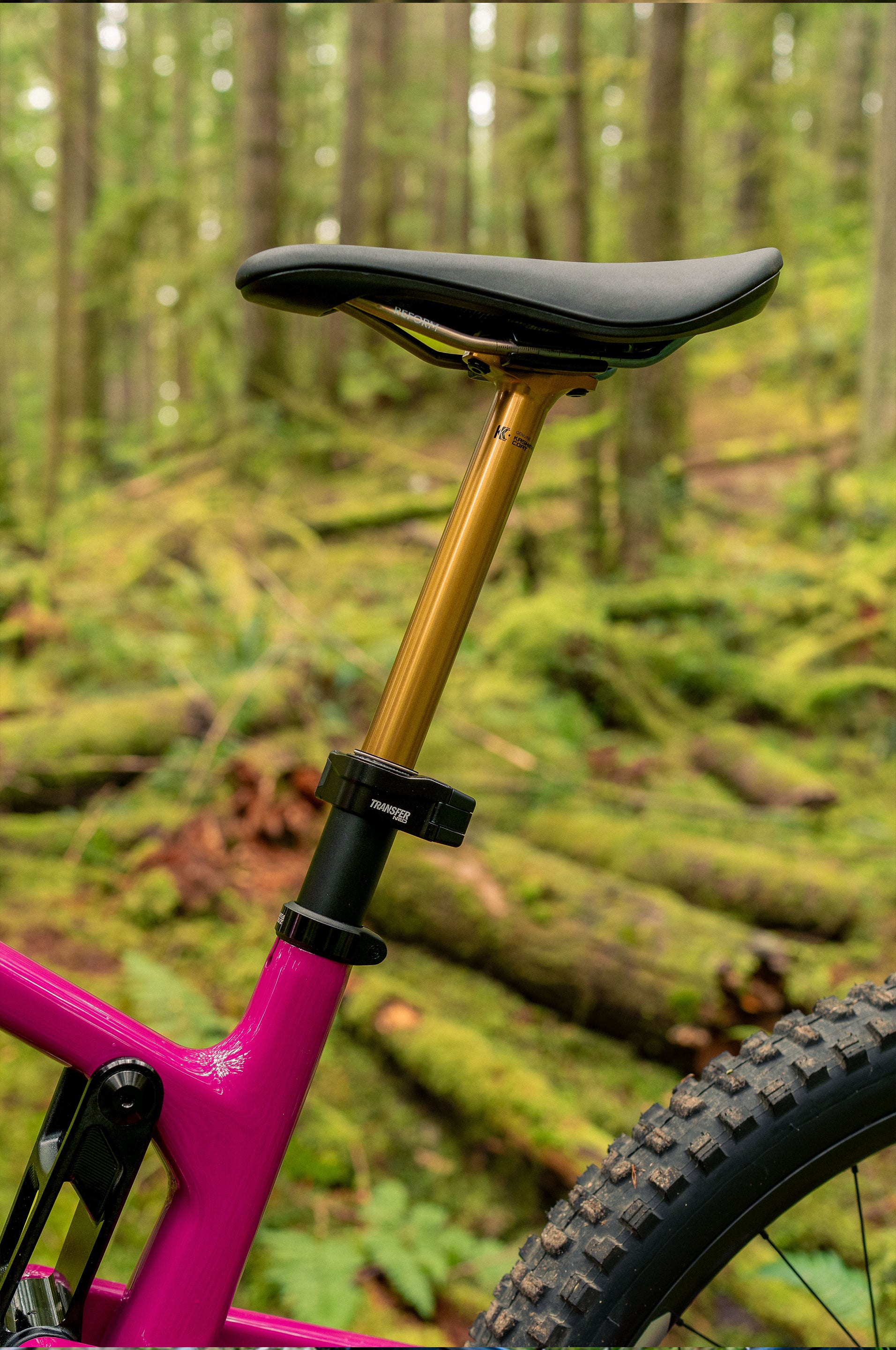 nueva pagina fox – Takumi Suspension SAC